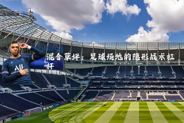 混合草坪：足球场地的隐形战术杠杆